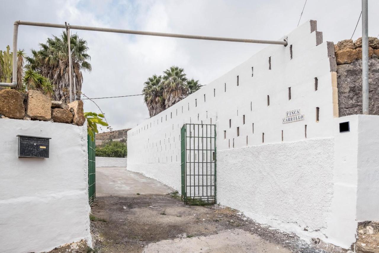 Finca Carrillo Arico المظهر الخارجي الصورة