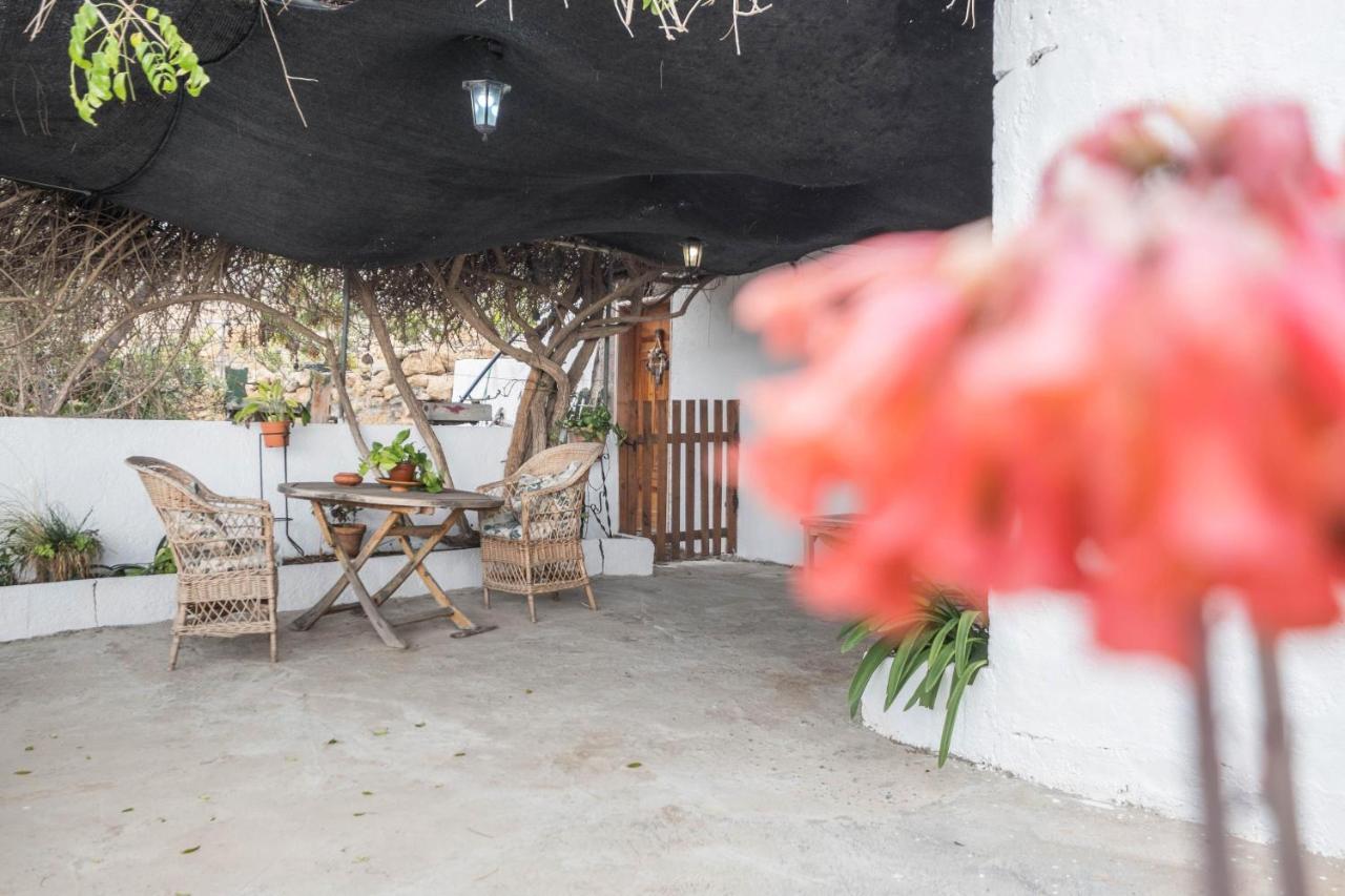 Finca Carrillo Arico المظهر الخارجي الصورة