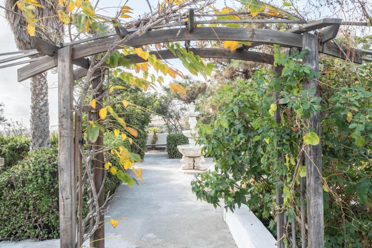 Finca Carrillo Arico المظهر الخارجي الصورة